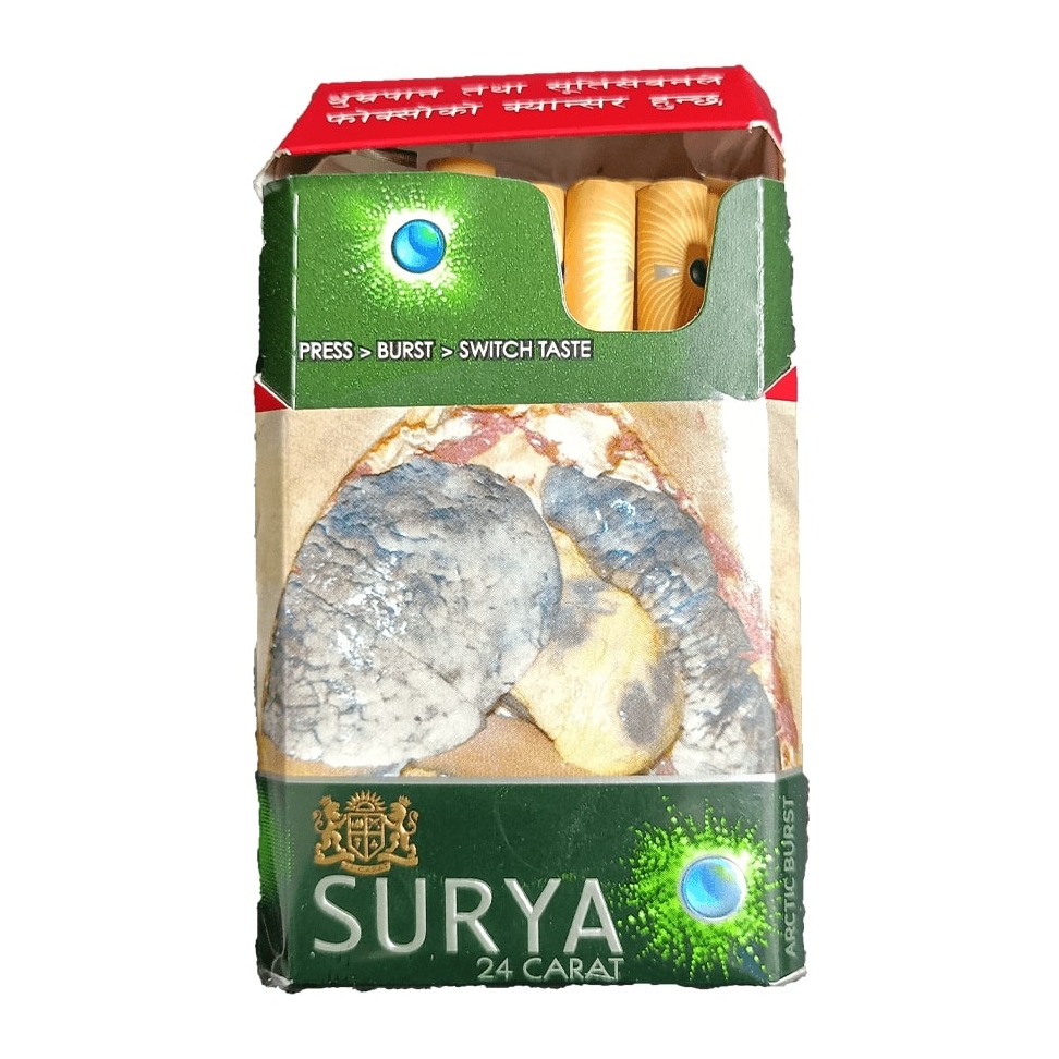 Surya Artic