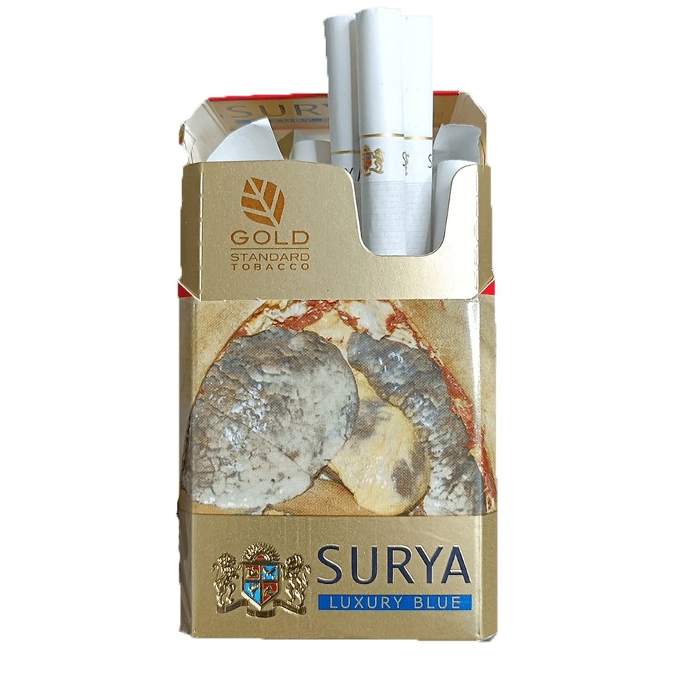 Surya Lights