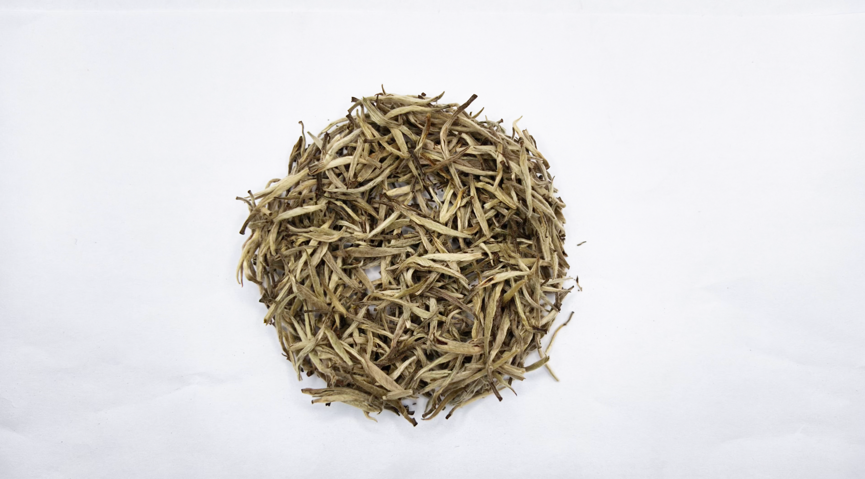 Silver Needle Tea