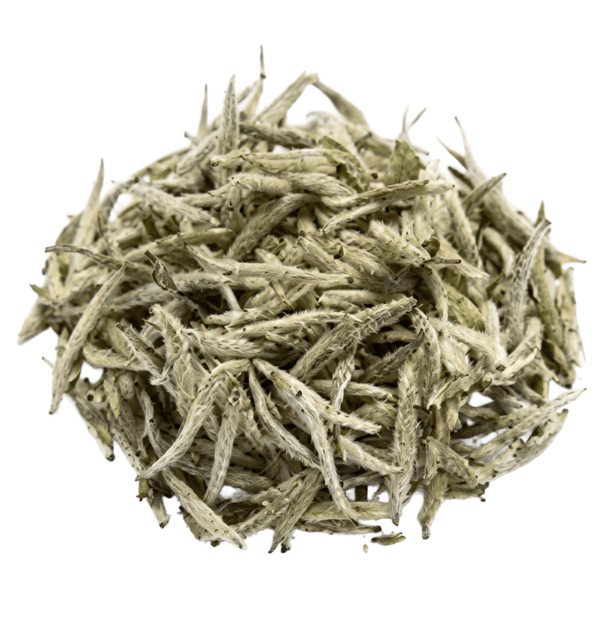 Silver Needle Tea